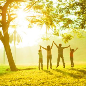 a21 epidoma teknwn onlinelogistis